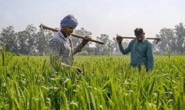 *प्रदेश सरकार द्वारा किसानों के लिए बनेगा किसान कार्ड*: कृषि भूमि के आधार से होगा लिंक