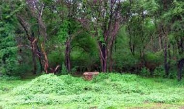 Security forces score big success in Narayanpur’s Abujhmad: Two most-wanted Naxals neutralised