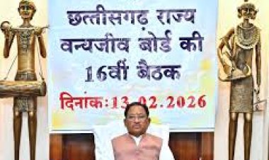 *वन्यजीवों के प्राकृतिक आवास की सुरक्षा और सह-अस्तित्व के सिद्धांतों के अनुरूप हो सभी गतिविधियों का संचालन : मुख्यमंत्री श्री साय*