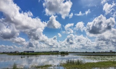 MP में तापमान 38°C पहुंचा, राजस्थान में बारिश की संभावना:झारखंड में पारा 24 घंटे में 7°C बढ़ा; हिमाचल में लगातार 5 दिन बारिश का अलर्ट