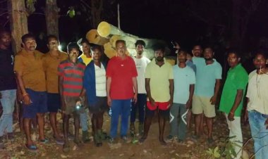 सुकमा में अवैध सागौन तस्करी का भंडाफोड़ : वन विभाग की देर रात गश्त का बड़ा असर, ट्रैक्टर सहित पकड़े गए दो आरोपी
